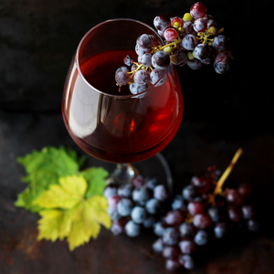 Malbec, Las Pampas, Mendoza, Argentina