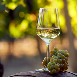 Sauvignon Blanc, El Picador Valle, Centrale, Chile